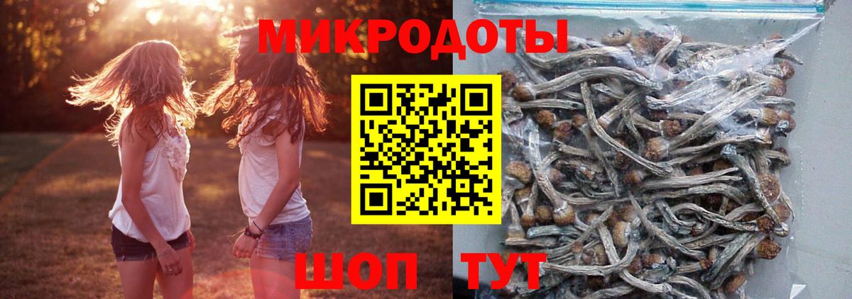 Дубна  Псилоцибиновые грибы MAGIC MUSHROOMS  Вход с VPN  Псилоцибиновые грибы Psilocybe 